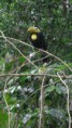 /album/fotogaleria/dsc01645-jpg/