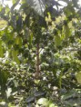 /album/fotogaleria/img-20130820-112847-0-jpg/